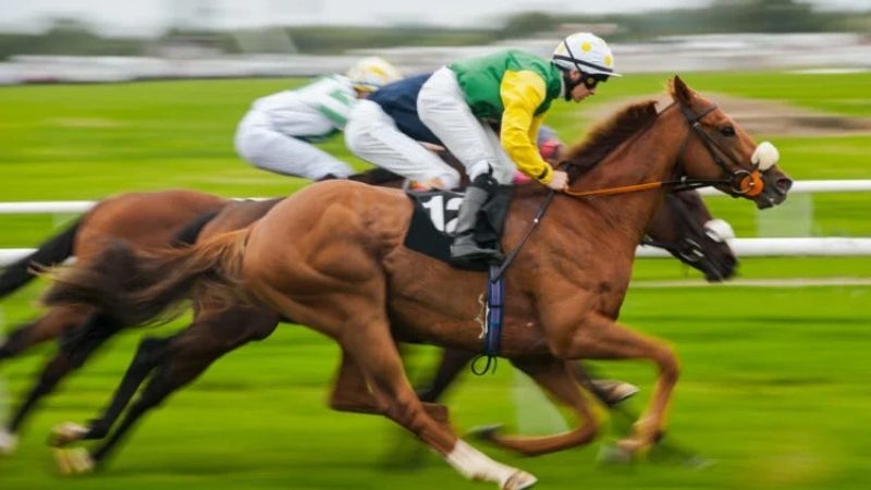Variedade E Experiência Em Corridas De Cavalos Bet10